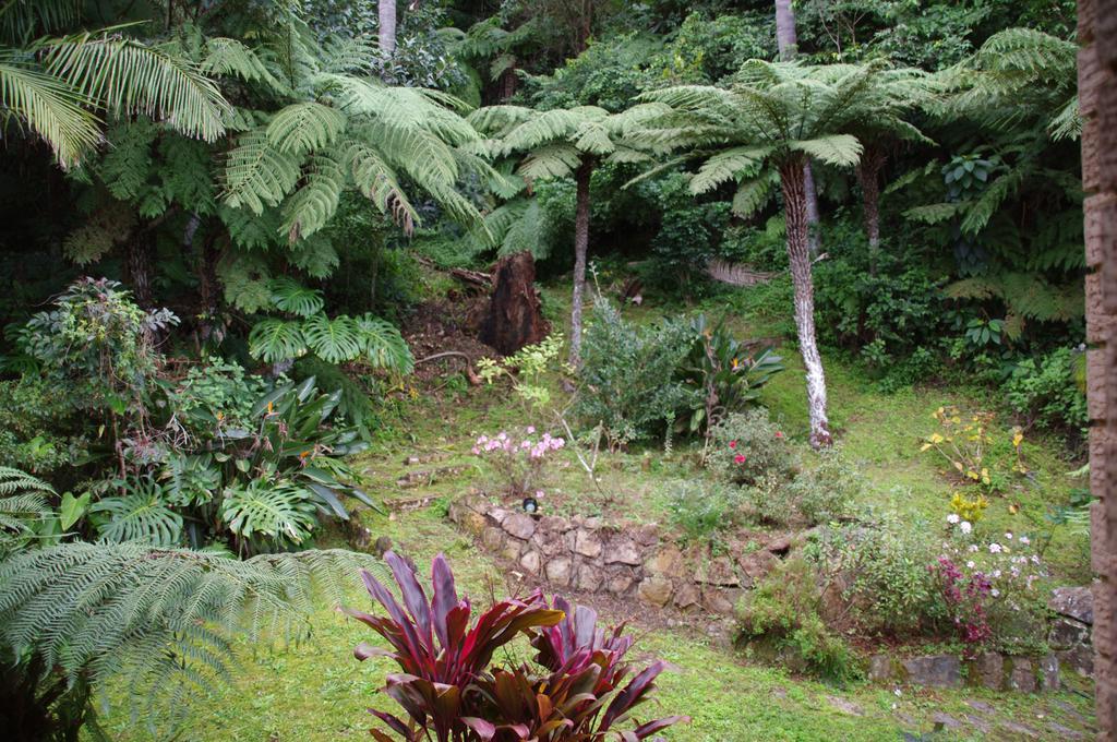 Marcel Towers Holiday Apartments Nambucca Heads Bagian luar foto